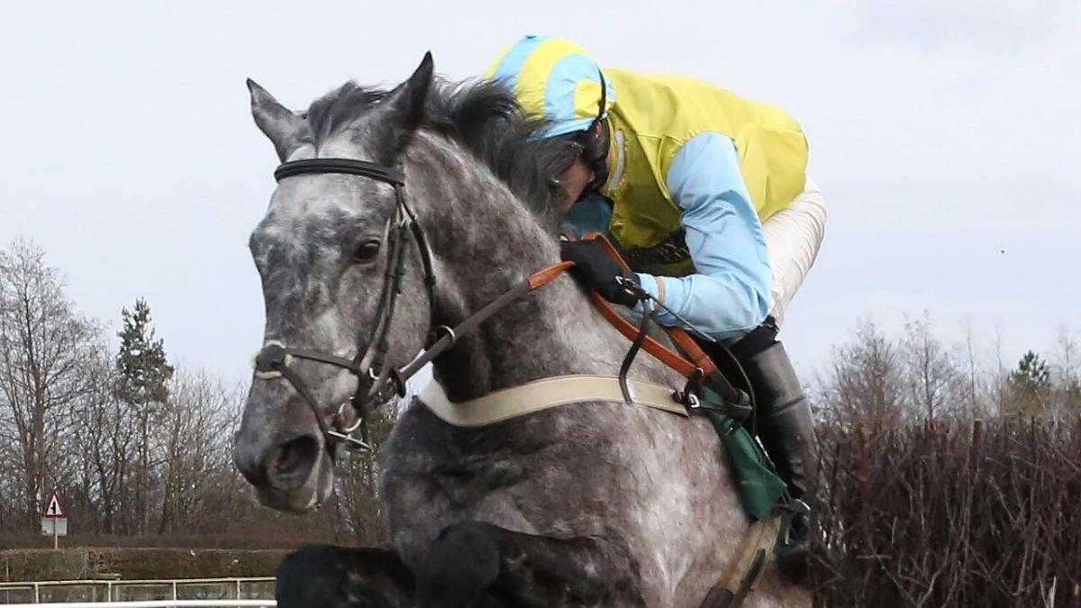 Catterick Racecourse